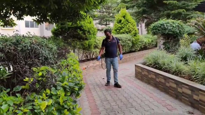 Pest control service video Mysore