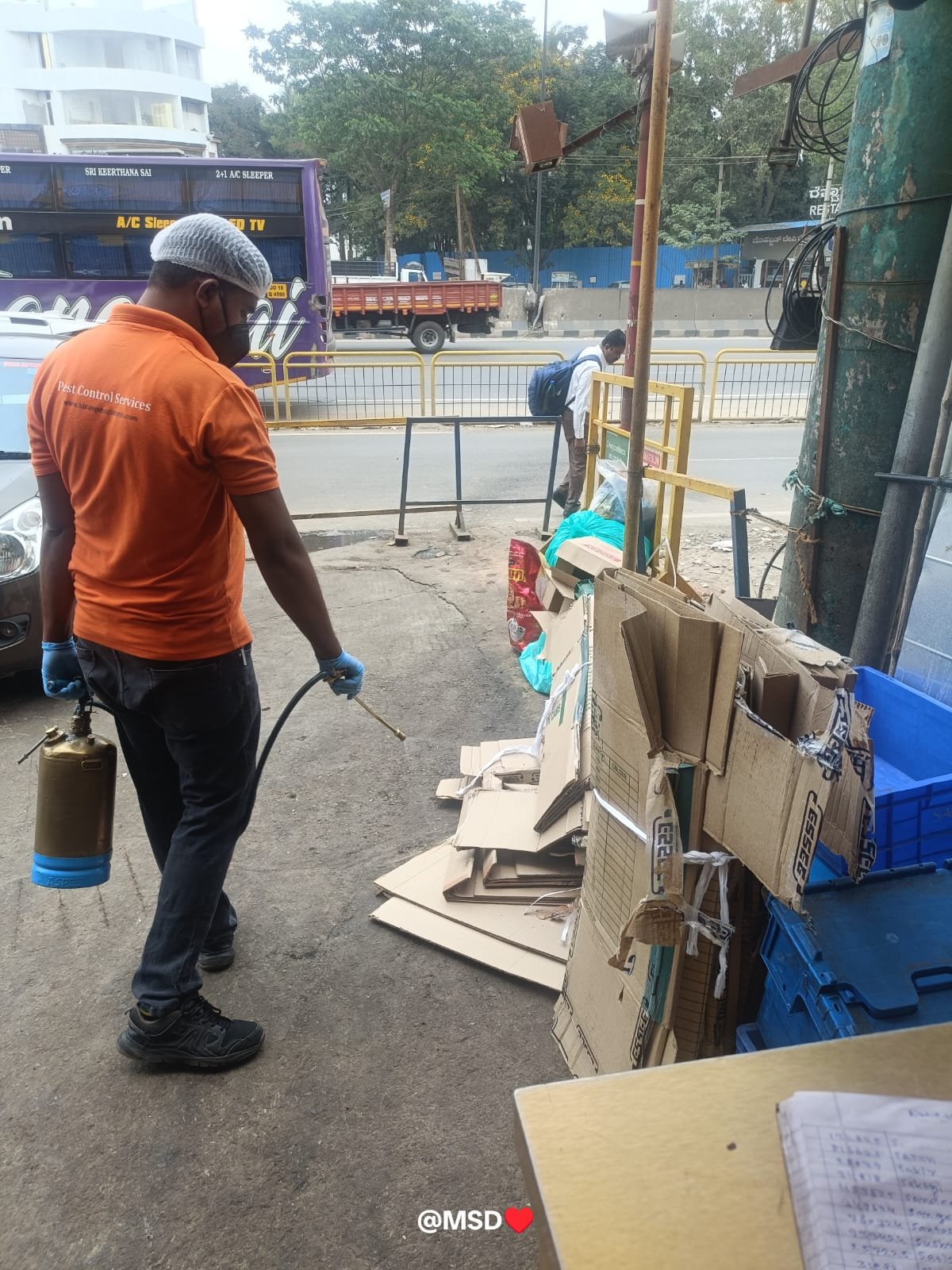 Pest control service Mysore