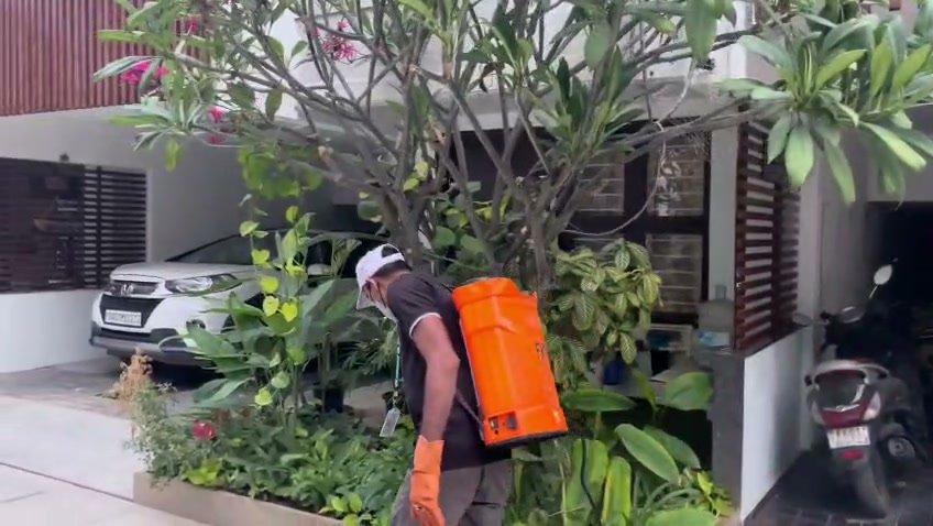 Pest control service video Mysore
