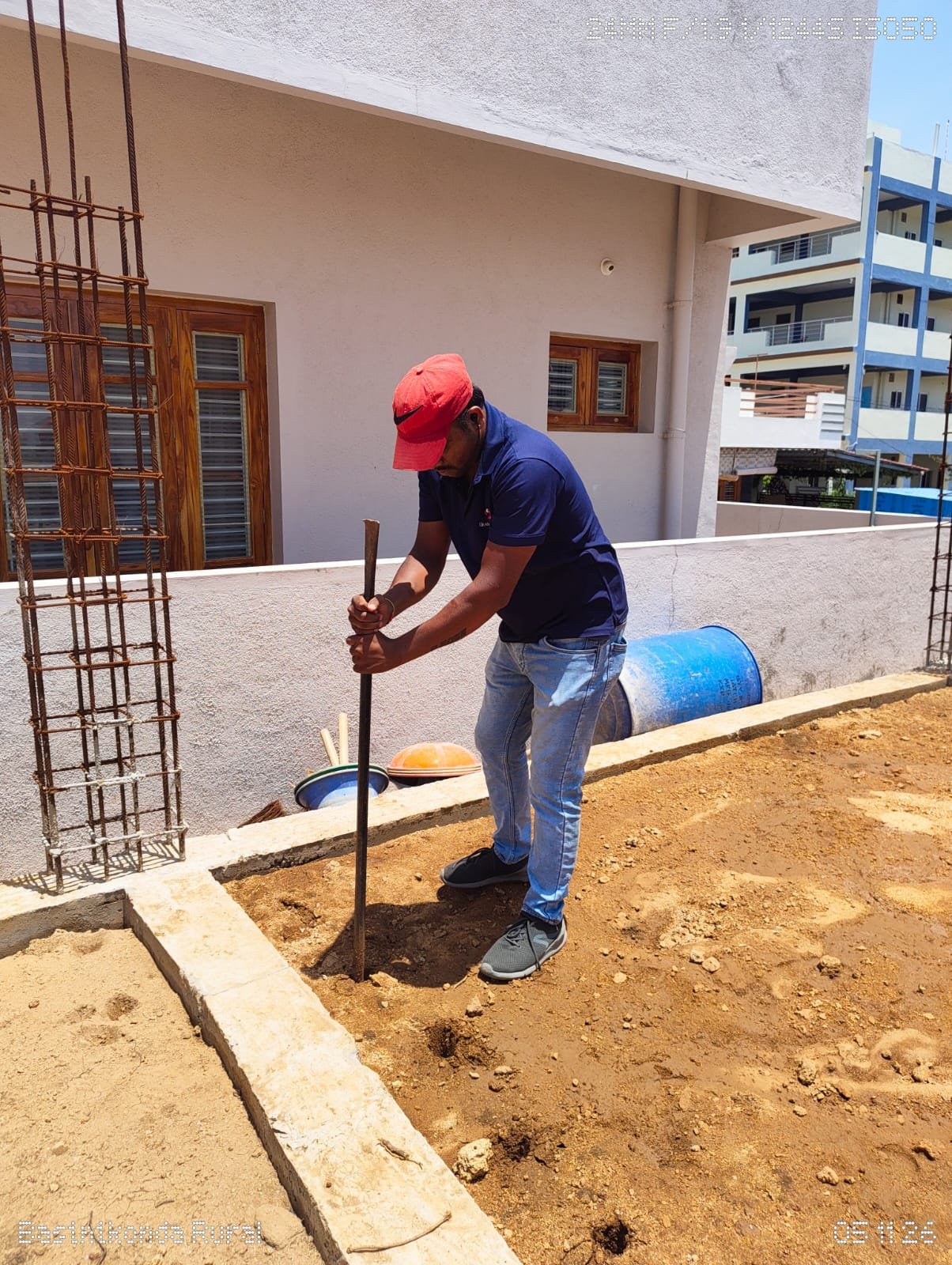 Pest control service Mysore
