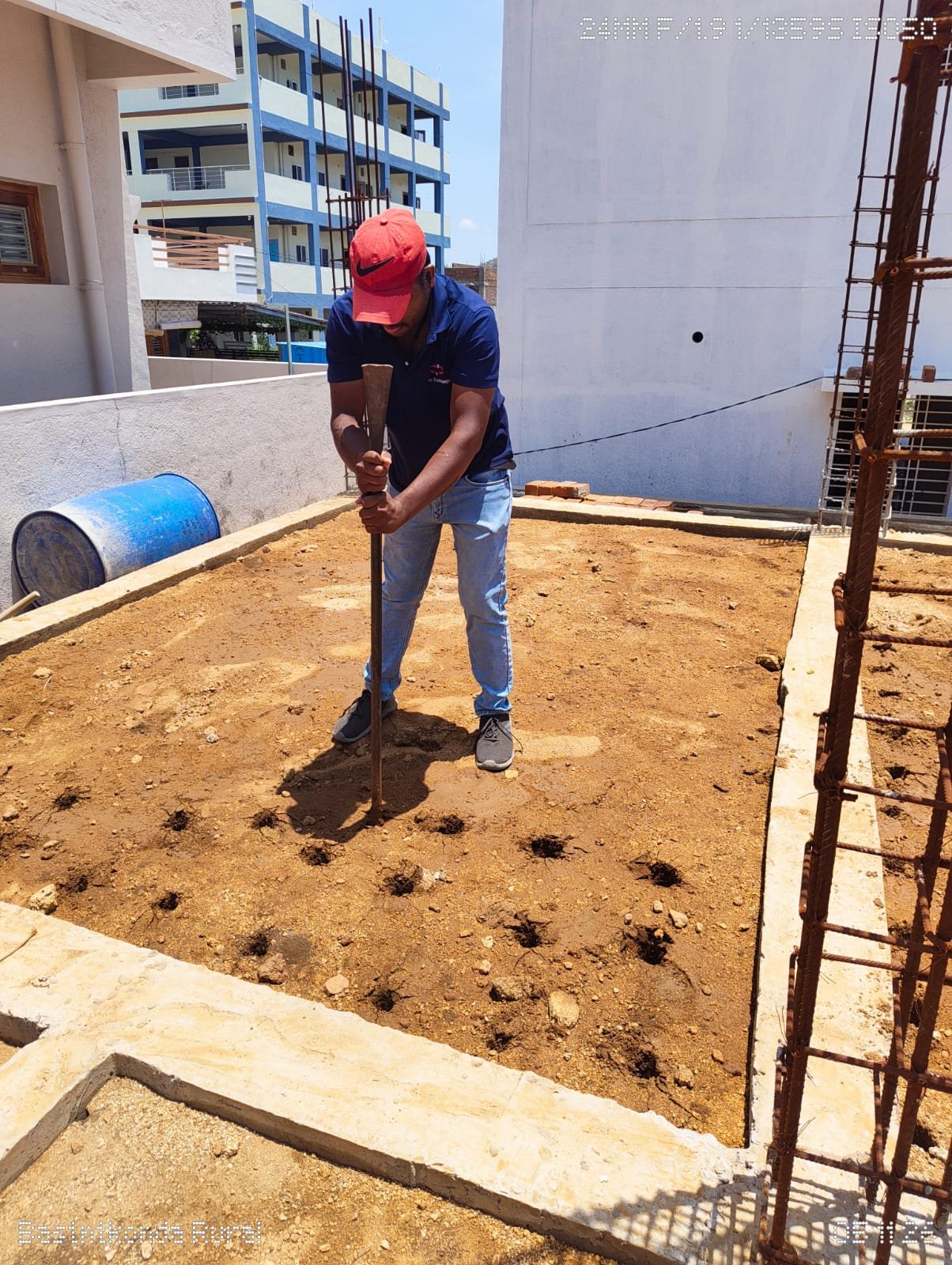 Pest control service Mysore