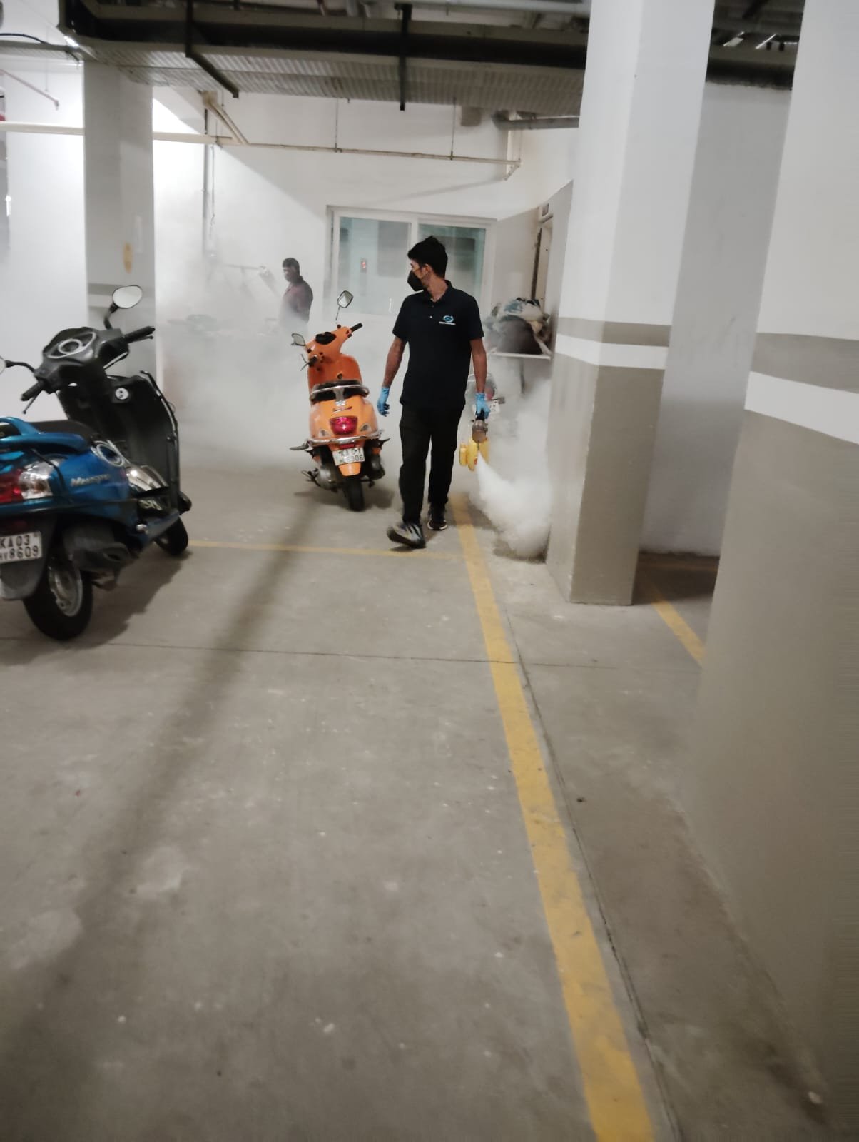 Pest control service Mysore