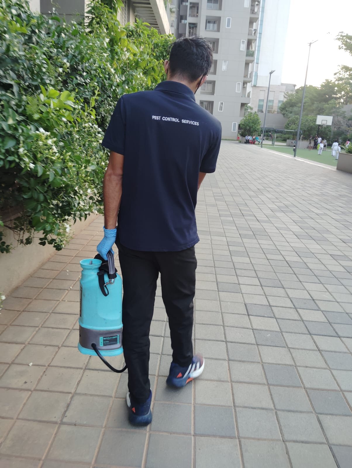 Pest control service Mysore