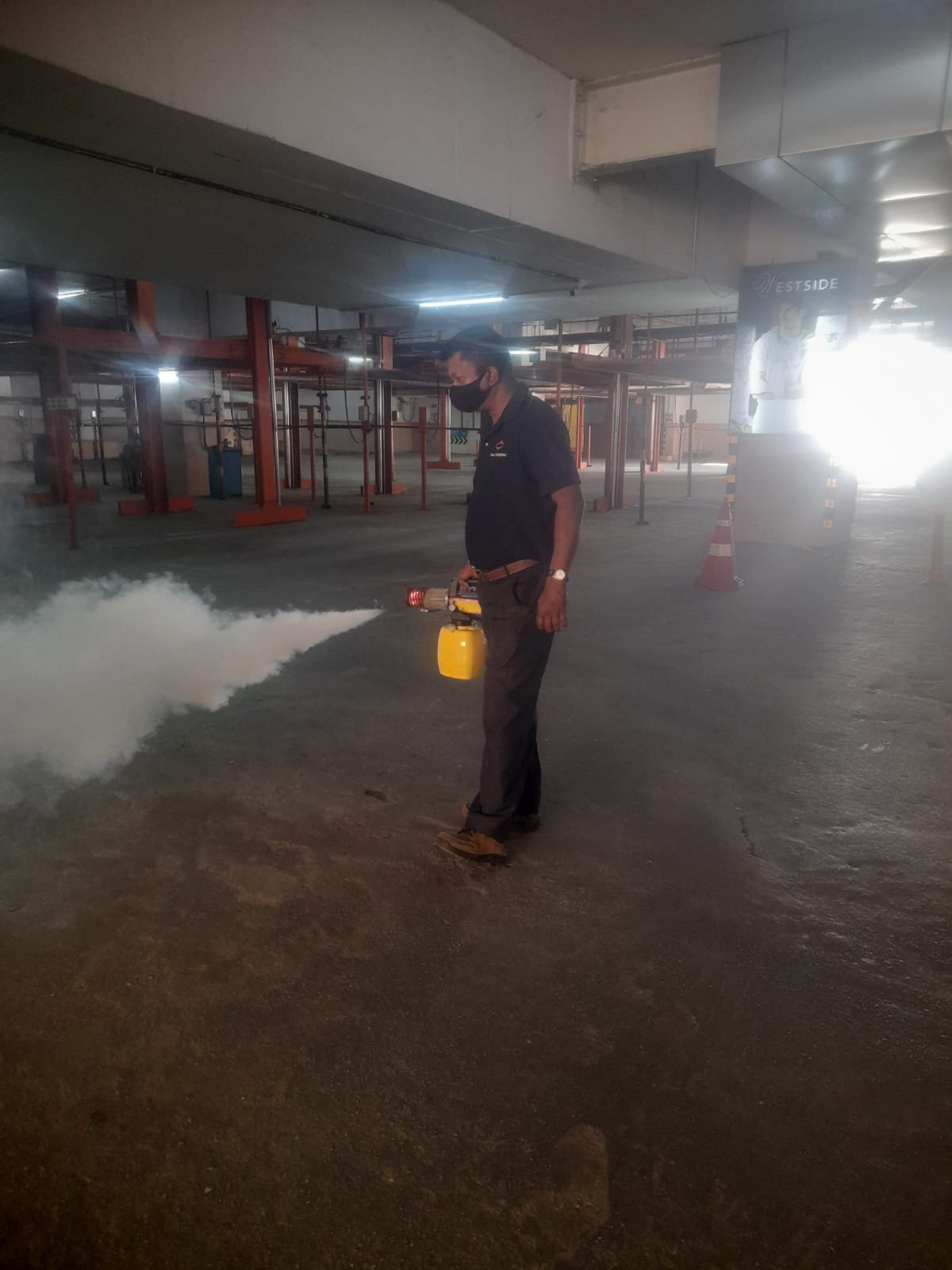 Pest control service Mysore