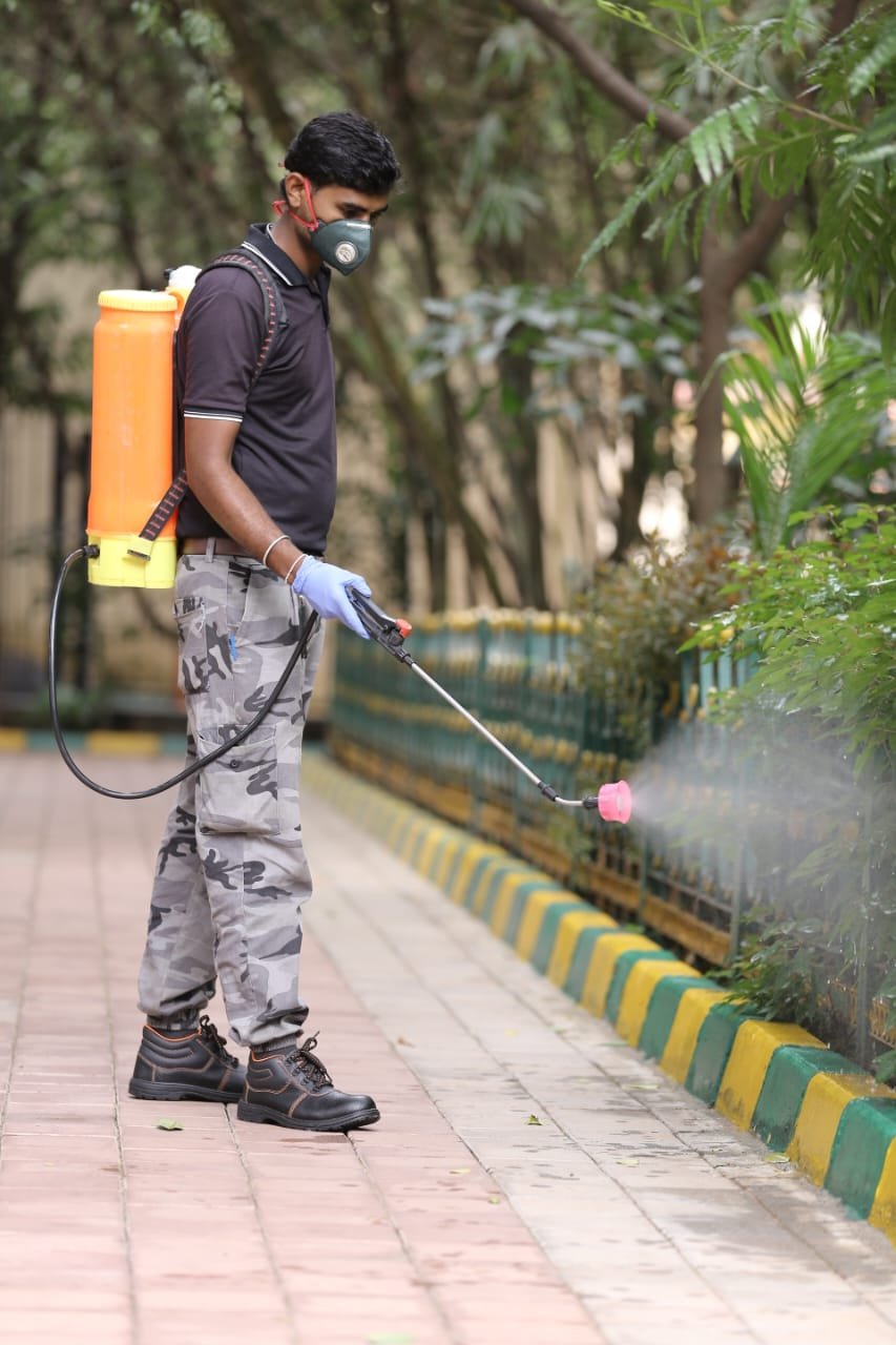 Pest Spraying Service Mysore